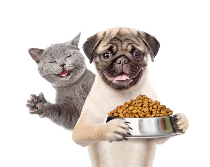 PET FOOD
