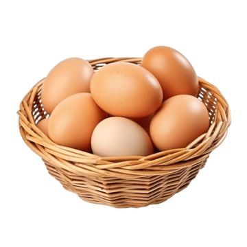 EGG