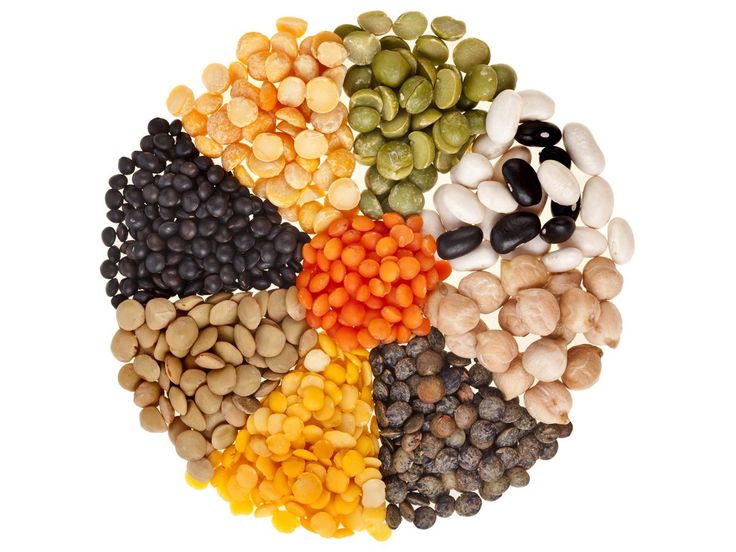 SEEDS